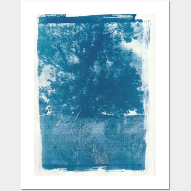 Tree Cyanotype Wall Art by amylouiseart